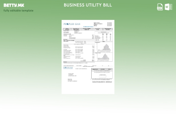 Сметката за комунални услуги за деловна активност на Illinois Peoples за гас во 